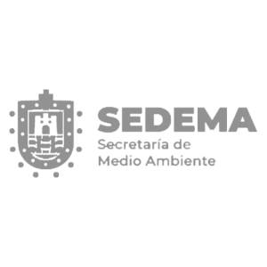 sedeman gris