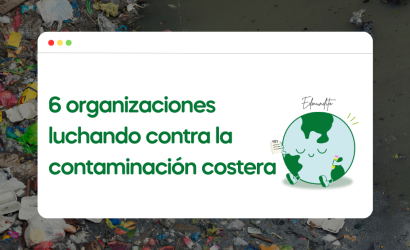 6 organizaciones luchando contra la contaminación costera