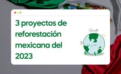 3 proyectos de reforestación mexicana del 2023
