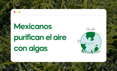Mexicanos purifican el aire con algas