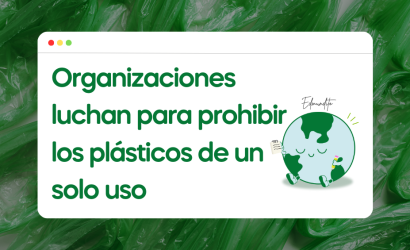Organizaciones ambientalistas interponen amparo para prohibir los plásticos de un solo uso