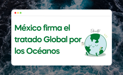 México firma el tratado Global por los Océanos