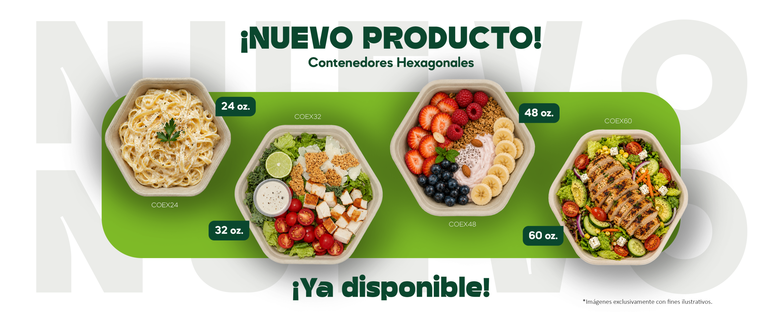ECO-BANNER-WEB-ESCRITORIO-LANZAMIENTO-CONTENEDORES-HEXAGONALES