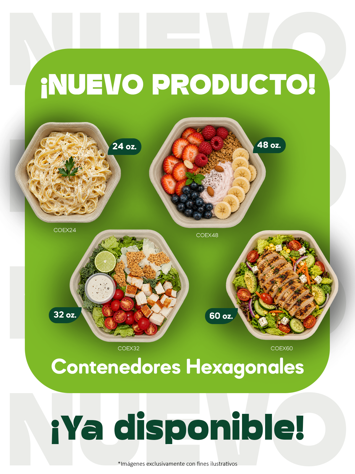 ECO-BANNER-WEB-MOVIL-LANZAMIENTO-CONTENEDORES HEXAGONALES